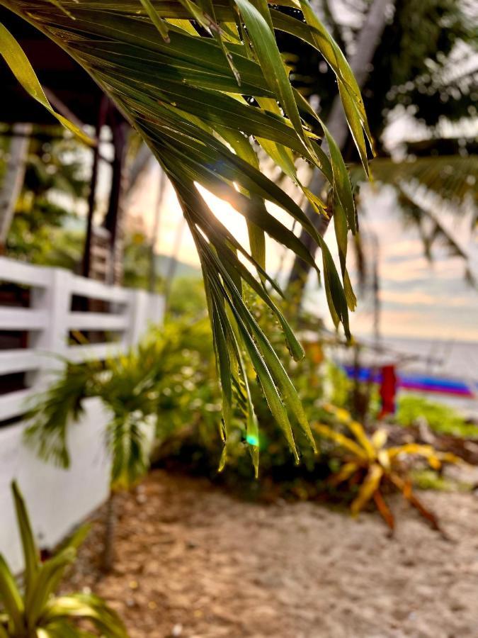 Amami Beachfront Villa With Private Beach Puerto Galera Zewnętrze zdjęcie