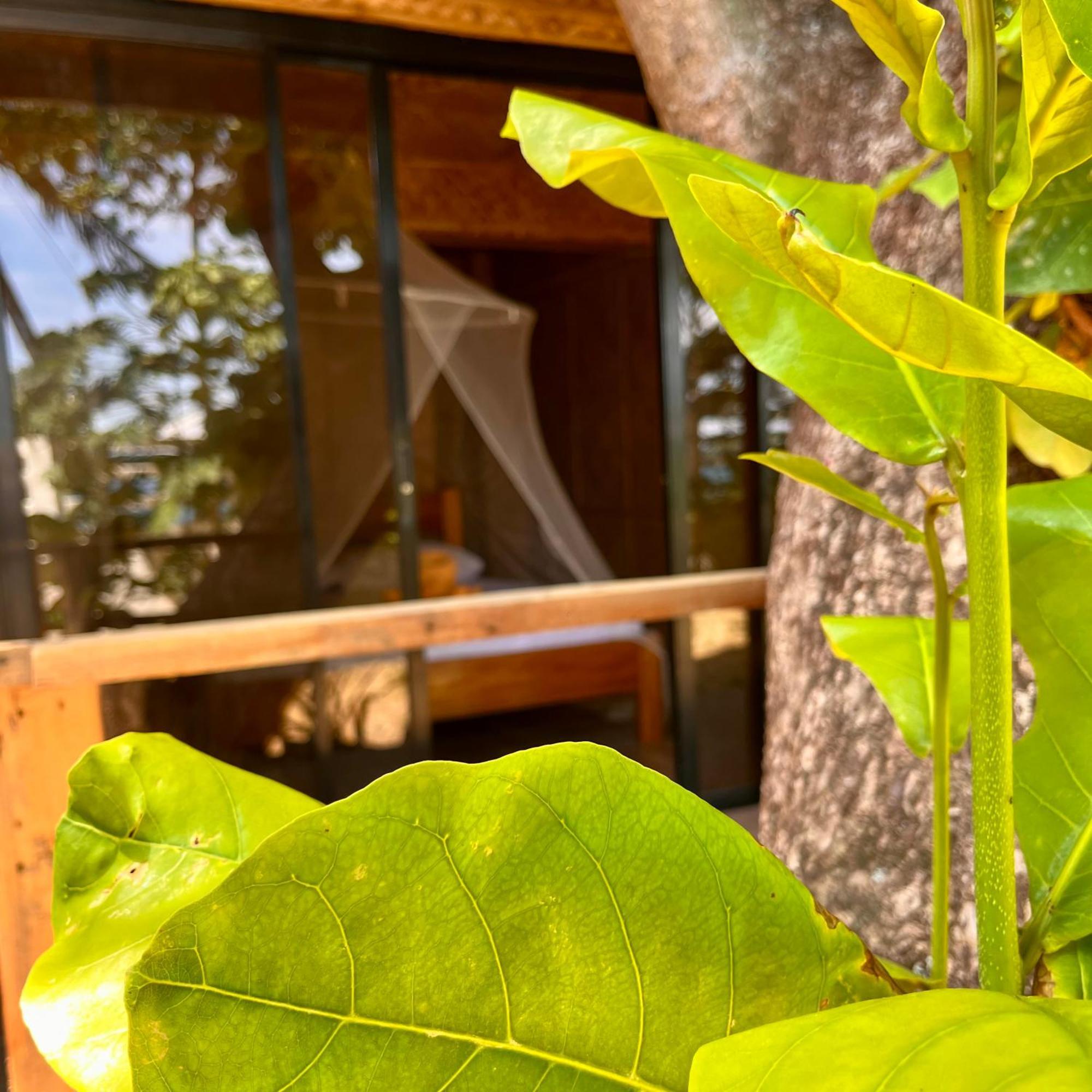 Amami Beachfront Villa With Private Beach Puerto Galera Zewnętrze zdjęcie