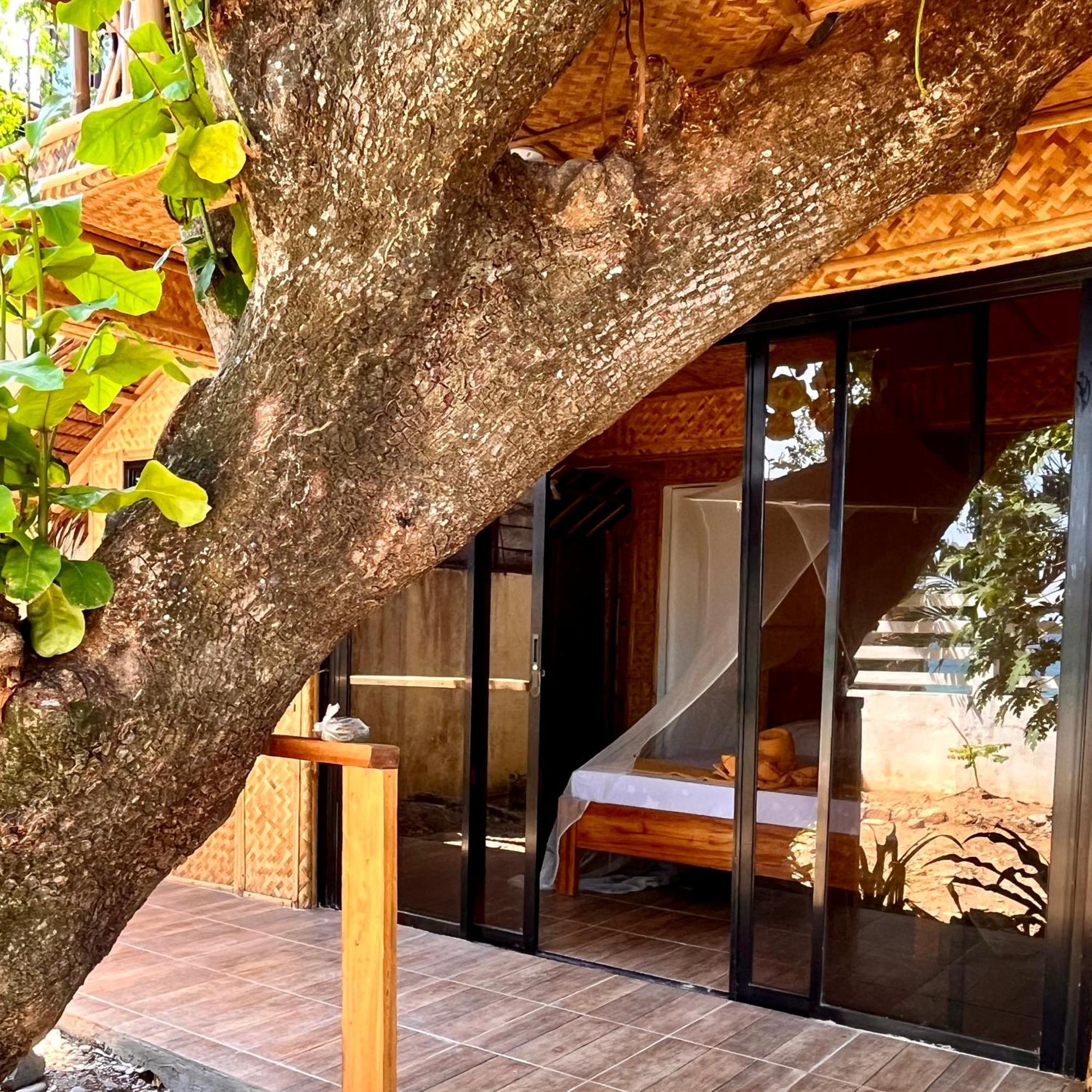 Amami Beachfront Villa With Private Beach Puerto Galera Zewnętrze zdjęcie